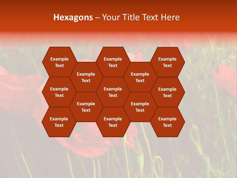 Lit Outdoors Corn PowerPoint Template