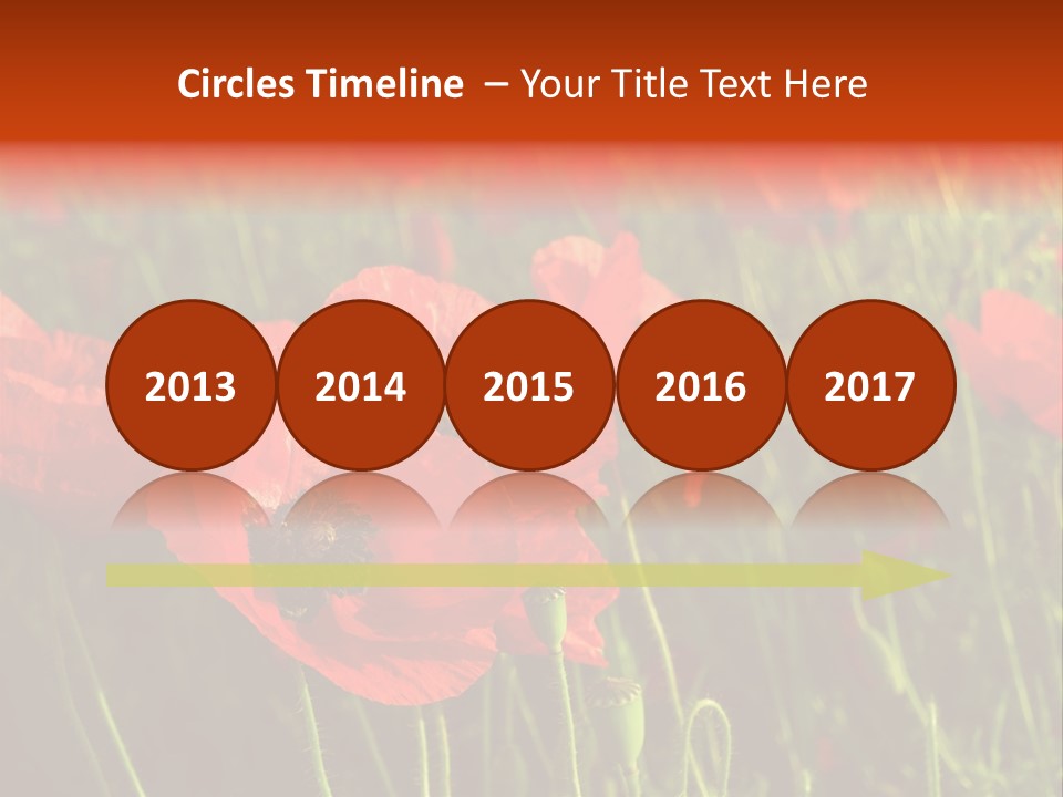 Lit Outdoors Corn PowerPoint Template