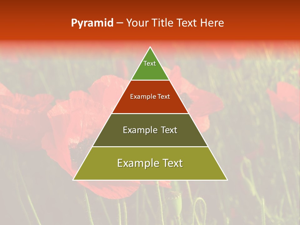 Lit Outdoors Corn PowerPoint Template