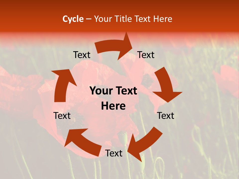 Lit Outdoors Corn PowerPoint Template