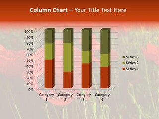 Lit Outdoors Corn PowerPoint Template