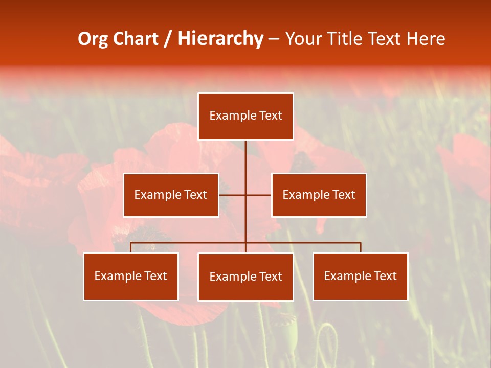 Lit Outdoors Corn PowerPoint Template