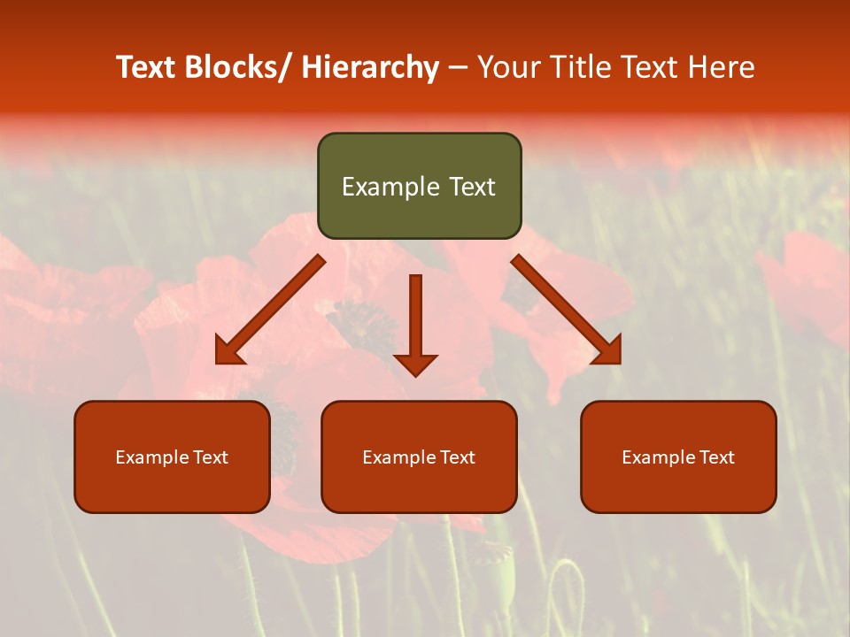 Lit Outdoors Corn PowerPoint Template