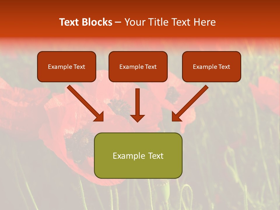 Lit Outdoors Corn PowerPoint Template