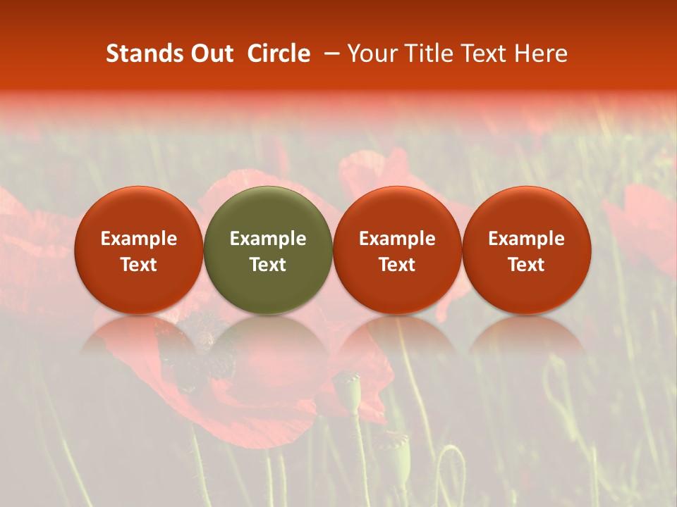 Lit Outdoors Corn PowerPoint Template