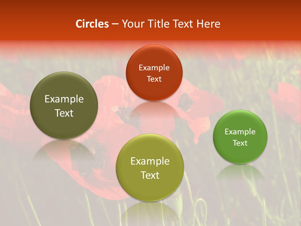 Lit Outdoors Corn PowerPoint Template