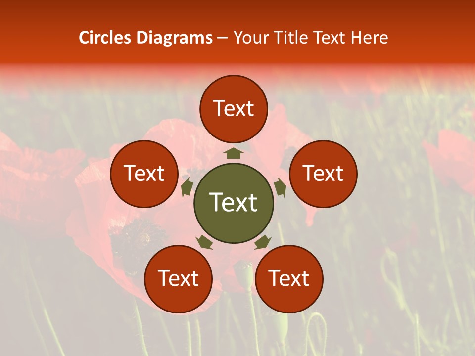 Lit Outdoors Corn PowerPoint Template