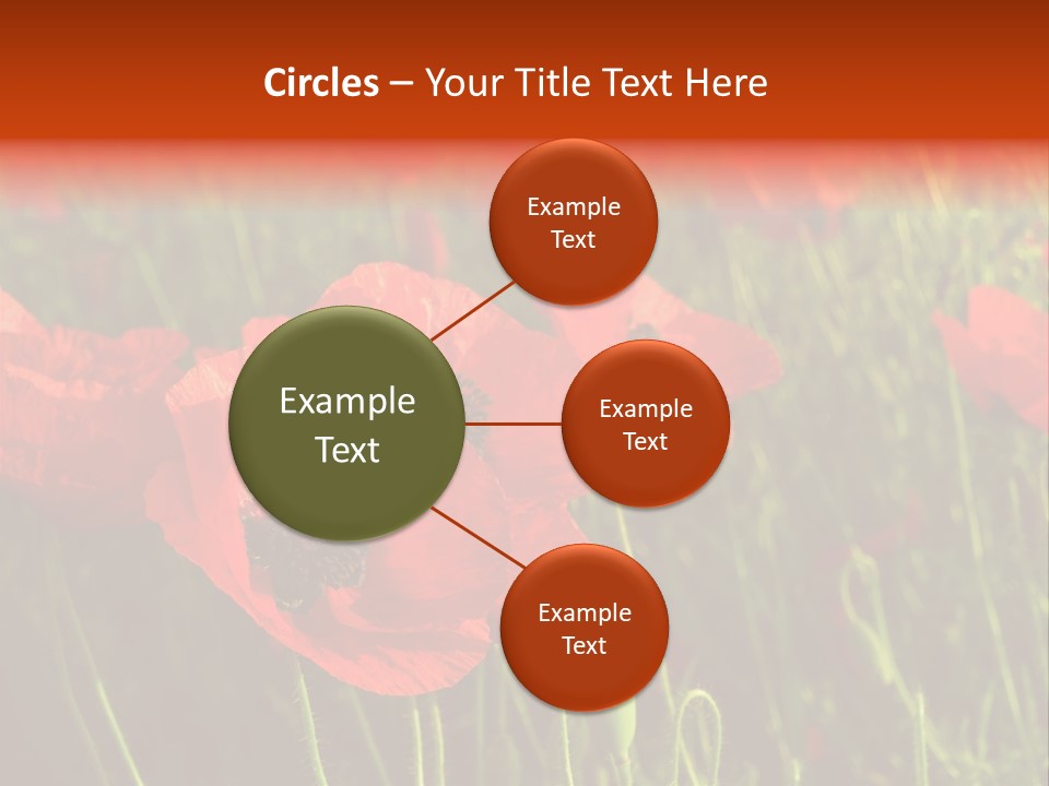 Lit Outdoors Corn PowerPoint Template