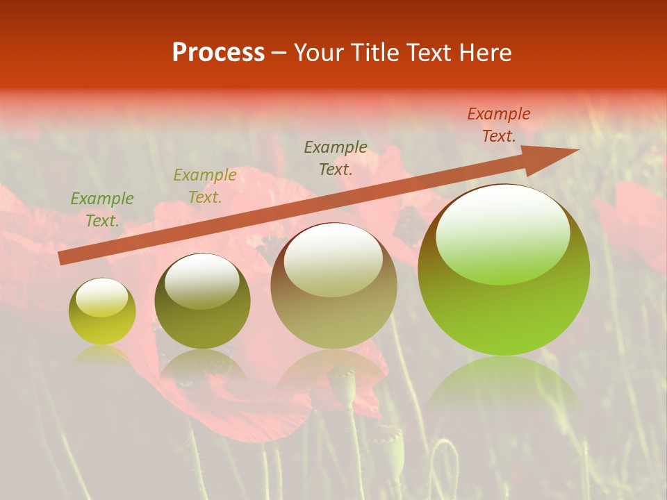 Lit Outdoors Corn PowerPoint Template