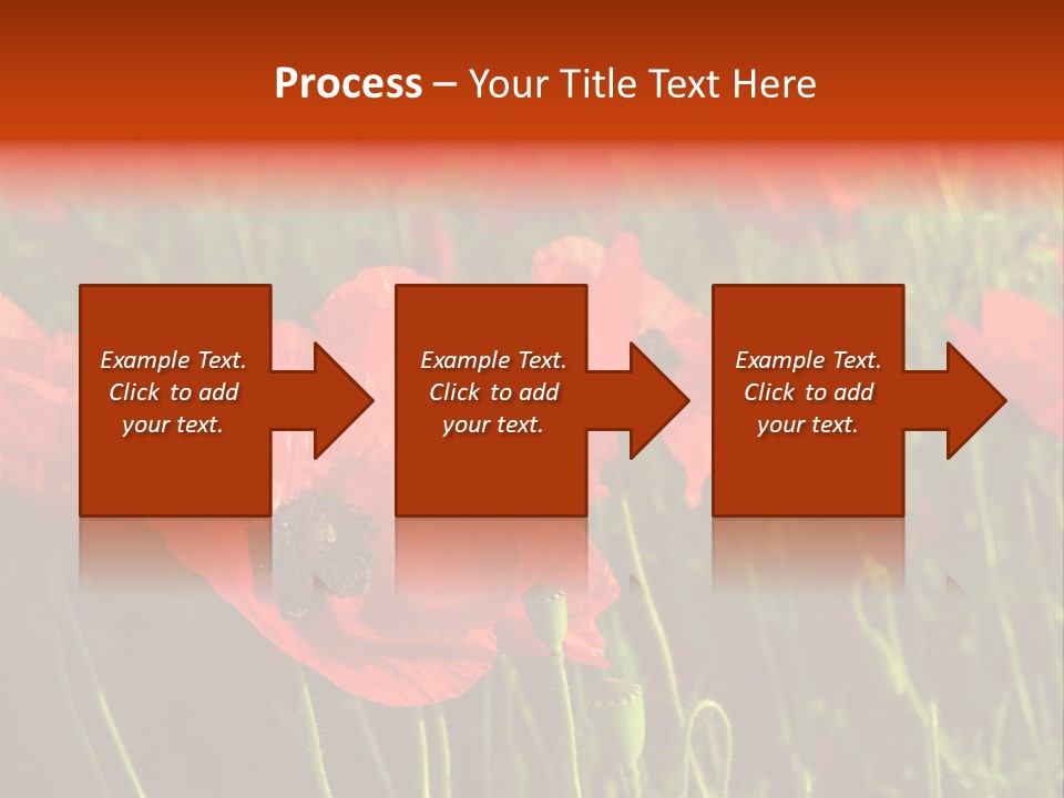 Lit Outdoors Corn PowerPoint Template
