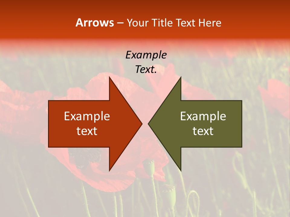 Lit Outdoors Corn PowerPoint Template