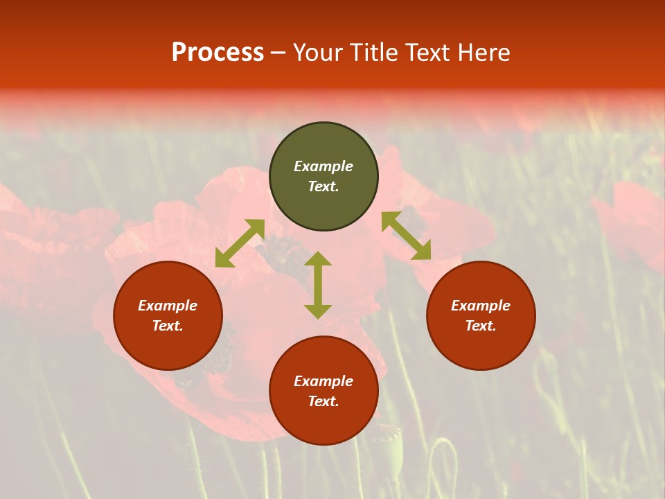 Lit Outdoors Corn PowerPoint Template