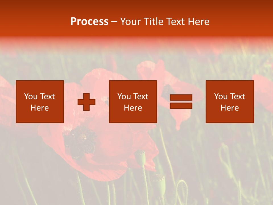 Lit Outdoors Corn PowerPoint Template