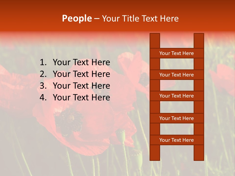 Lit Outdoors Corn PowerPoint Template