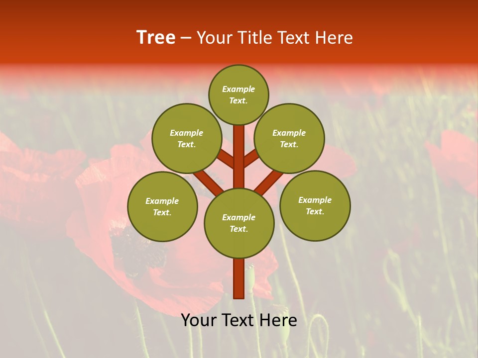 Lit Outdoors Corn PowerPoint Template