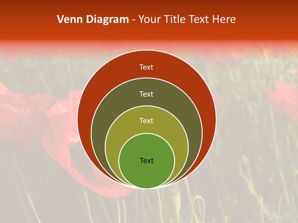 Lit Outdoors Corn PowerPoint Template