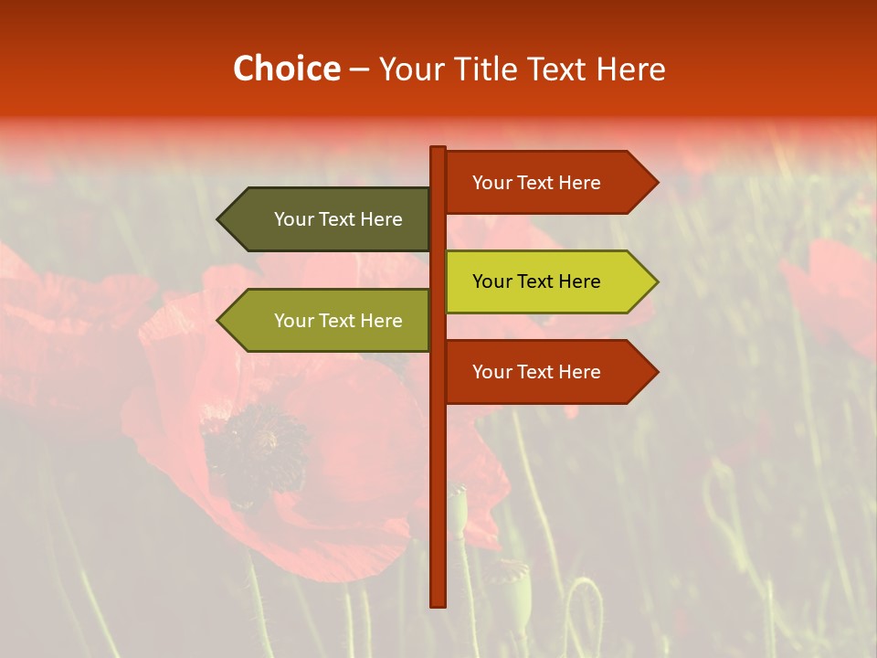 Lit Outdoors Corn PowerPoint Template