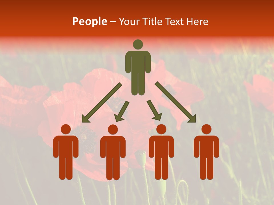 Lit Outdoors Corn PowerPoint Template