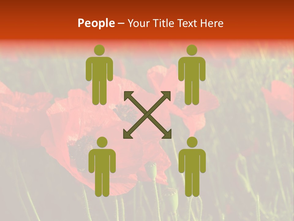 Lit Outdoors Corn PowerPoint Template