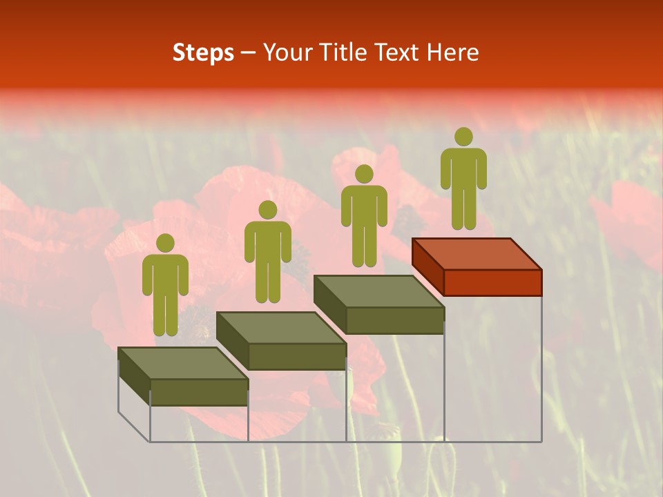 Lit Outdoors Corn PowerPoint Template