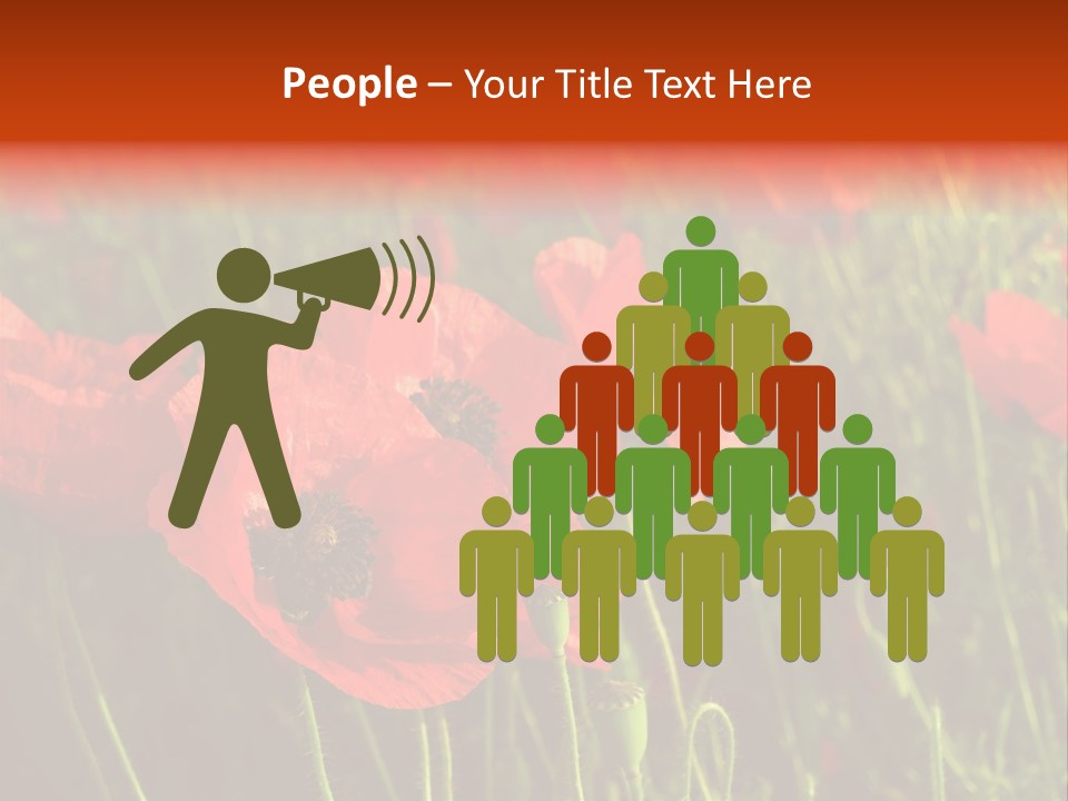 Lit Outdoors Corn PowerPoint Template