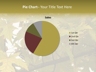 Character Boardroom Team PowerPoint Template