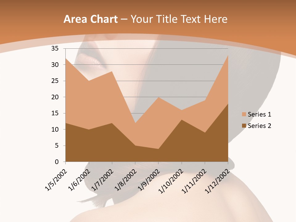 Hair Young Studio PowerPoint Template