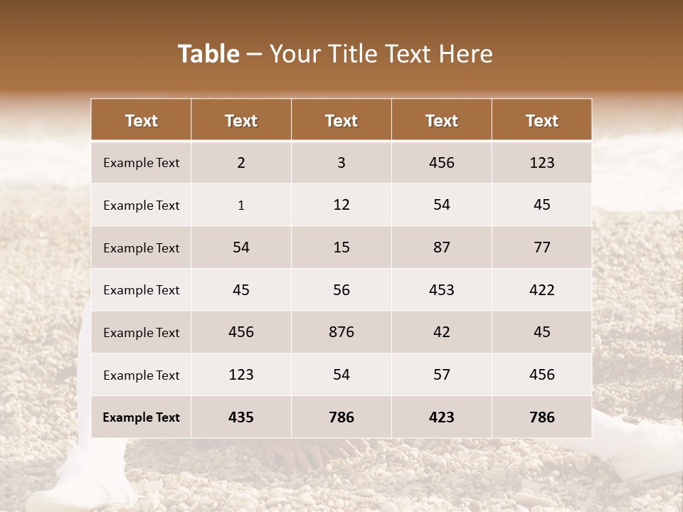 Teamwork Boardroom Profe Ional PowerPoint Template