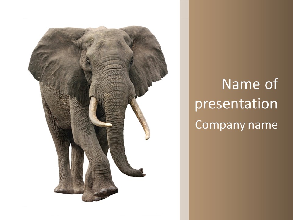 Elephant Trunk Cutout PowerPoint Template