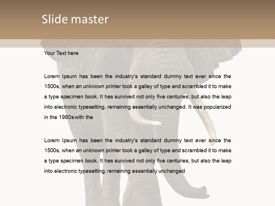 Elephant Trunk Cutout PowerPoint Template