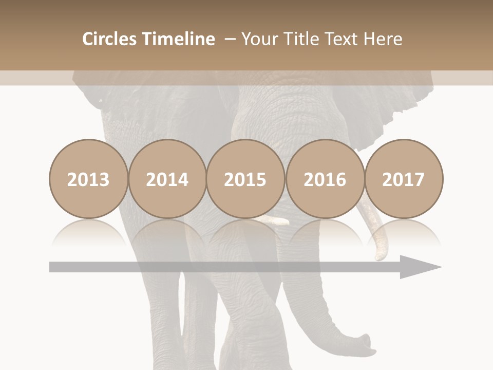 Elephant Trunk Cutout PowerPoint Template