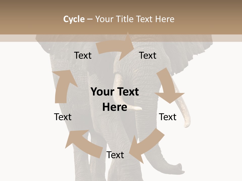 Elephant Trunk Cutout PowerPoint Template