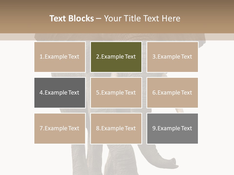 Elephant Trunk Cutout PowerPoint Template