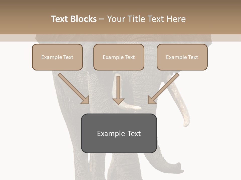 Elephant Trunk Cutout PowerPoint Template