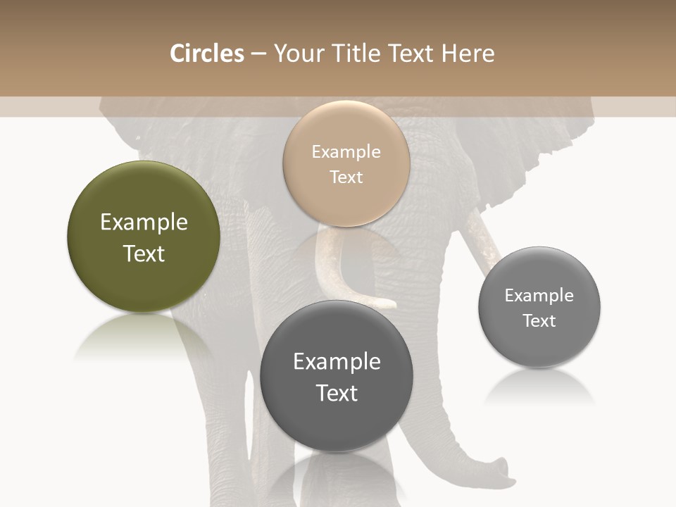 Elephant Trunk Cutout PowerPoint Template