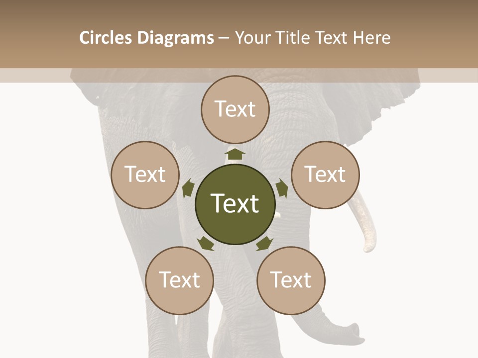 Elephant Trunk Cutout PowerPoint Template