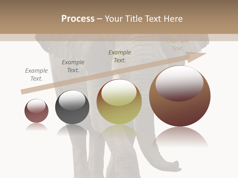 Elephant Trunk Cutout PowerPoint Template