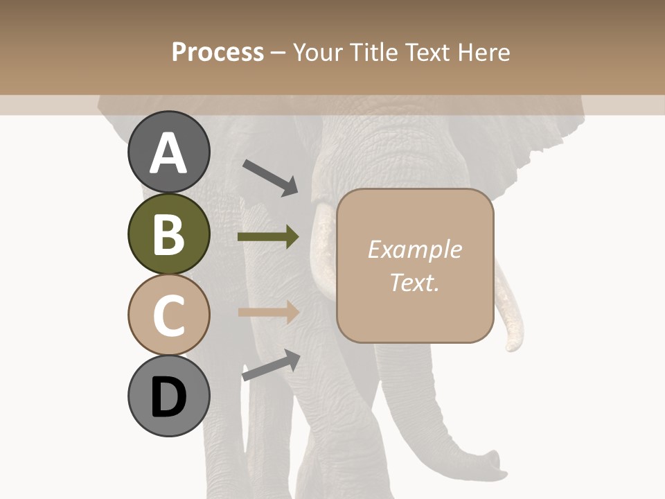 Elephant Trunk Cutout PowerPoint Template