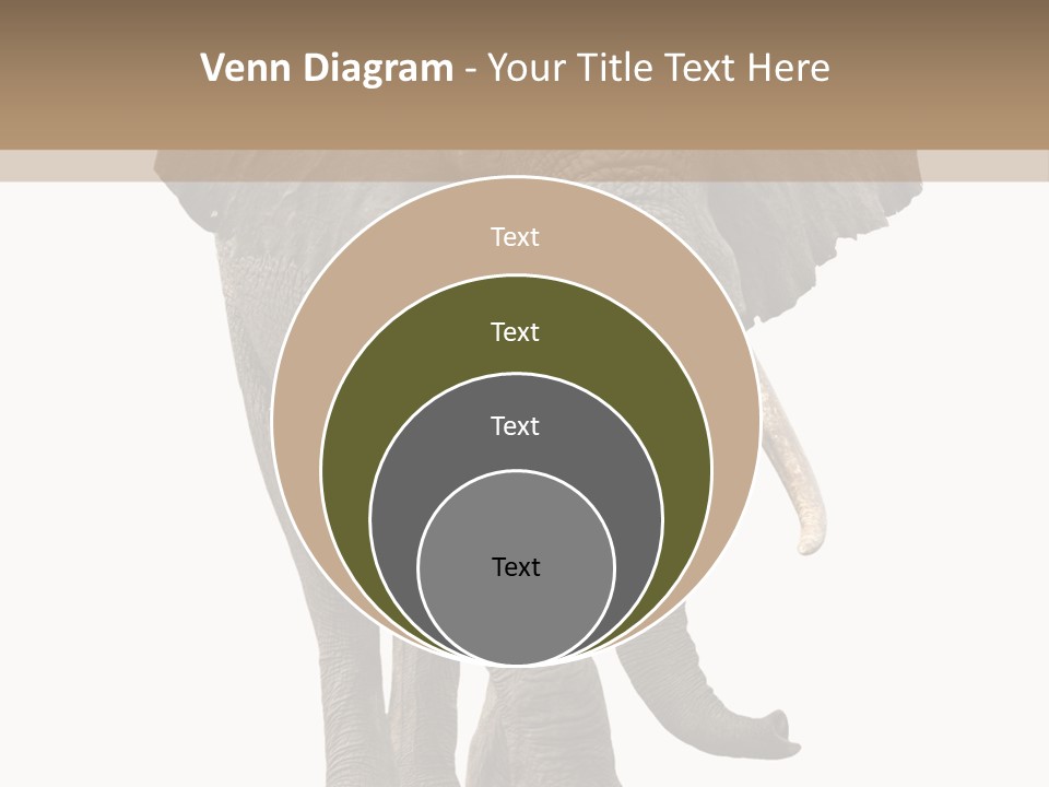 Elephant Trunk Cutout PowerPoint Template