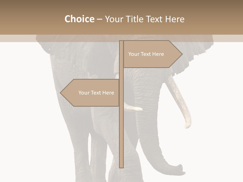 Elephant Trunk Cutout PowerPoint Template