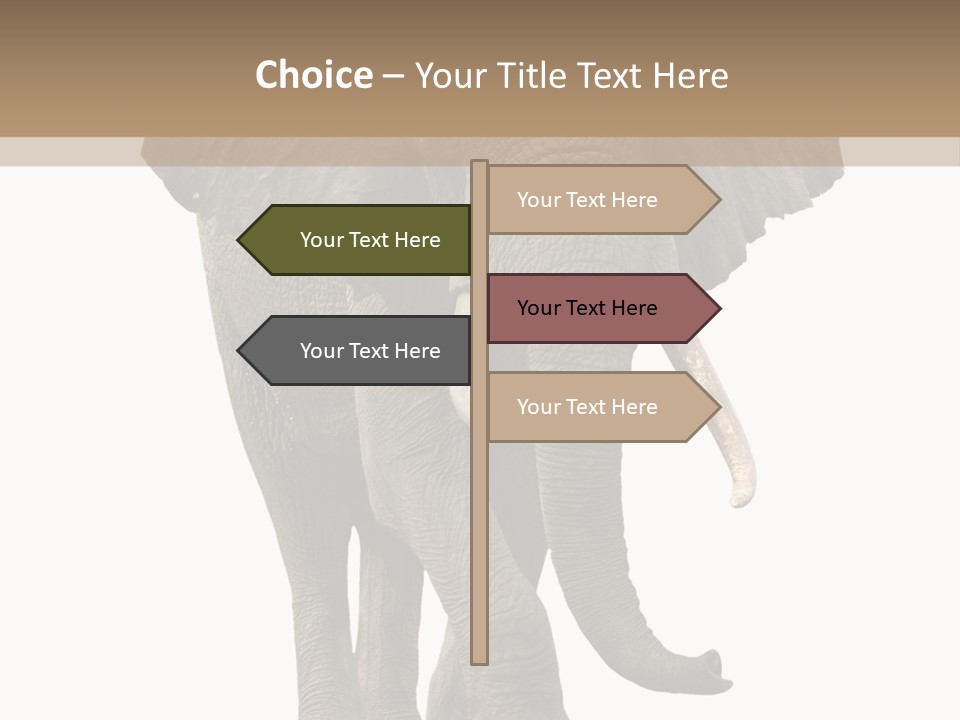 Elephant Trunk Cutout PowerPoint Template
