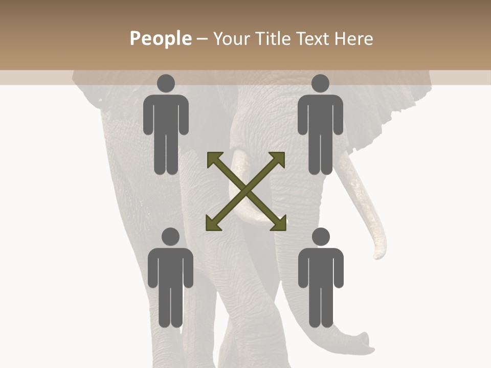 Elephant Trunk Cutout PowerPoint Template