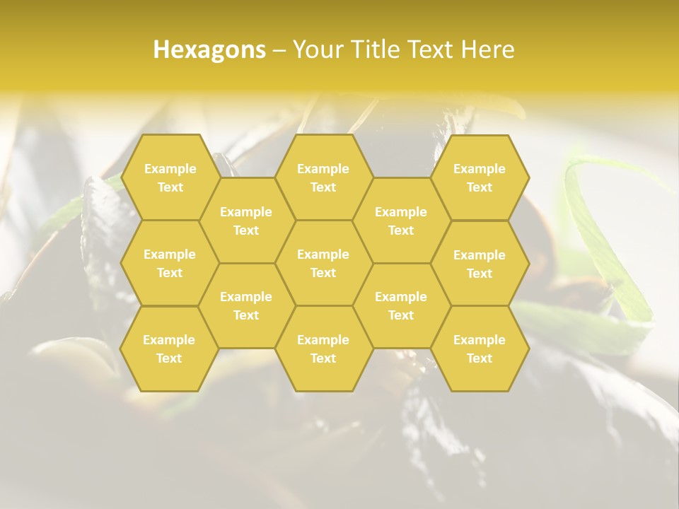 Macro Fish Closed PowerPoint Template