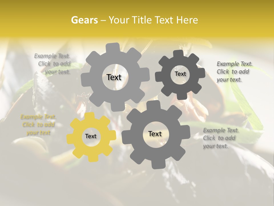 Macro Fish Closed PowerPoint Template