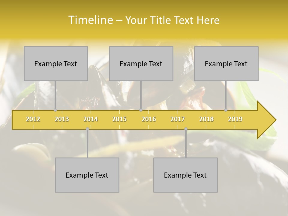 Macro Fish Closed PowerPoint Template