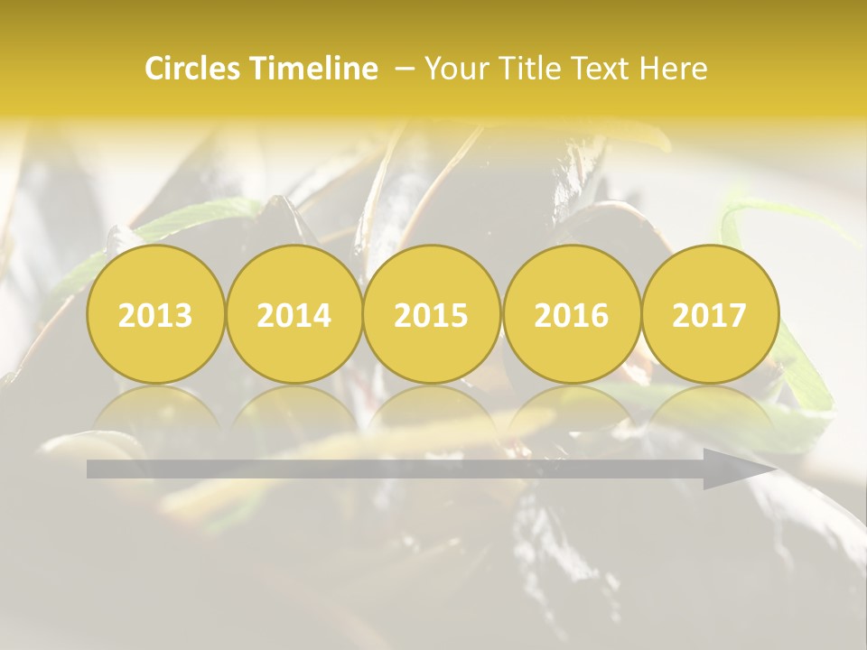 Macro Fish Closed PowerPoint Template