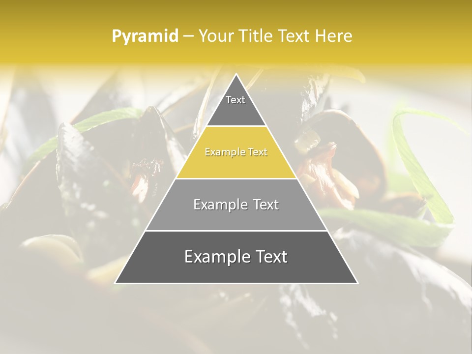 Macro Fish Closed PowerPoint Template