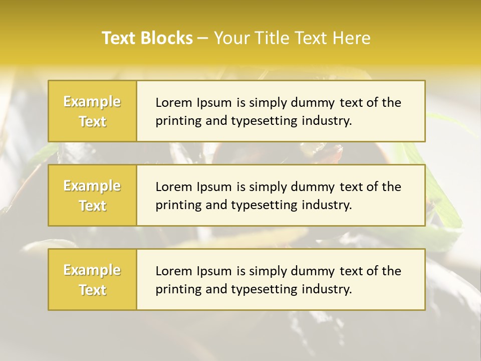 Macro Fish Closed PowerPoint Template