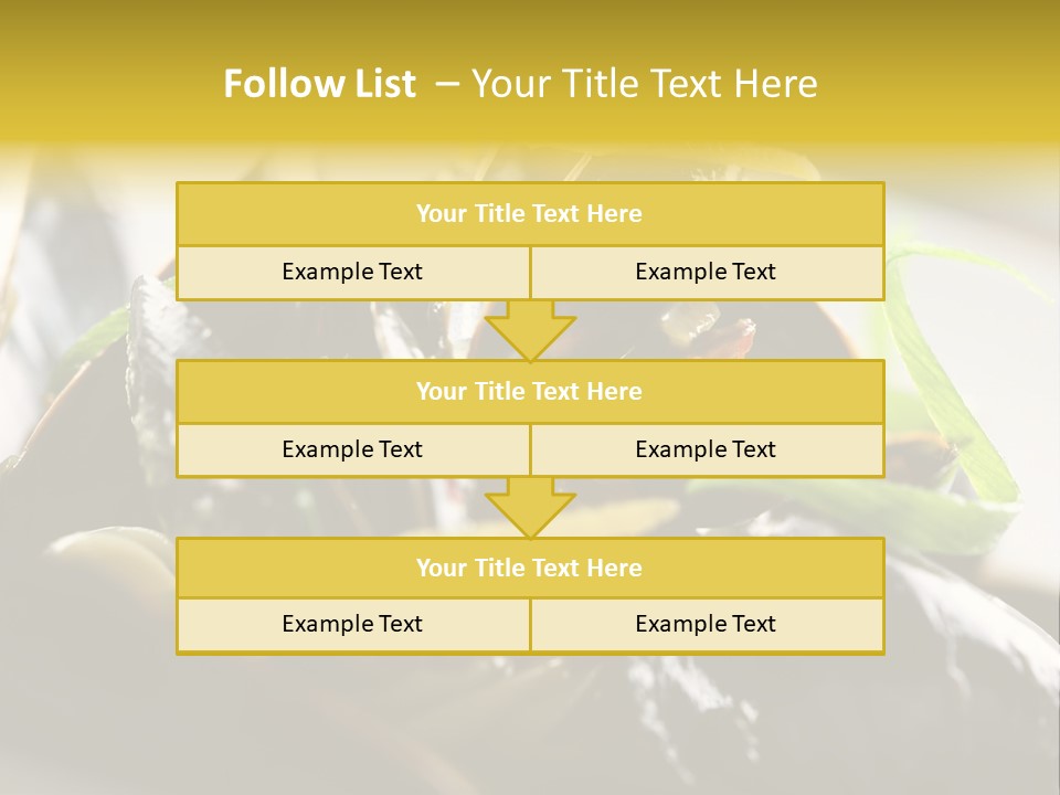Macro Fish Closed PowerPoint Template