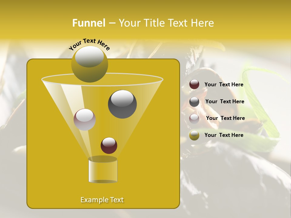 Macro Fish Closed PowerPoint Template